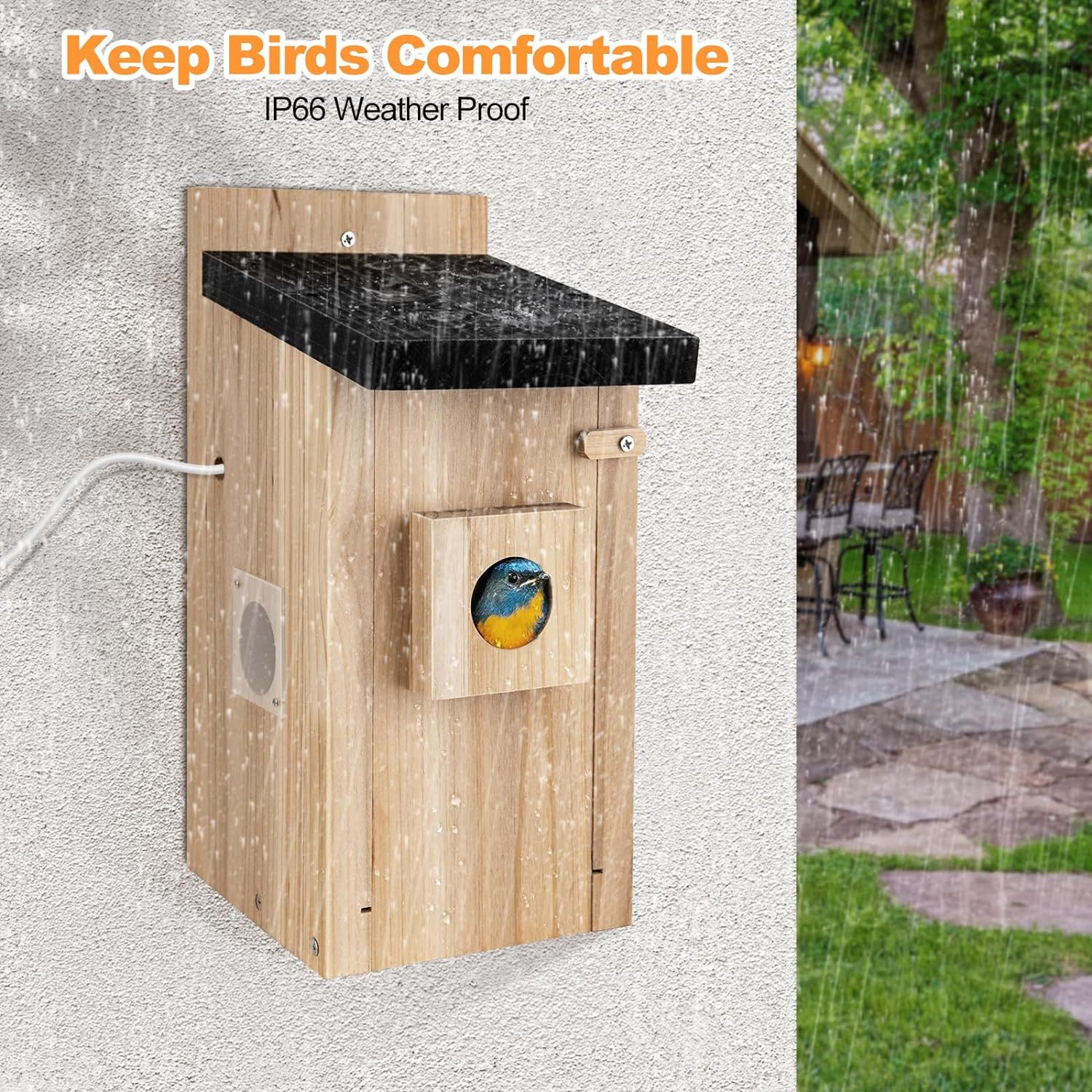 smart wooden birdhouse with 3MP camera and phone app preview smart wooden birdhouse with 3MP camera and phone app preview